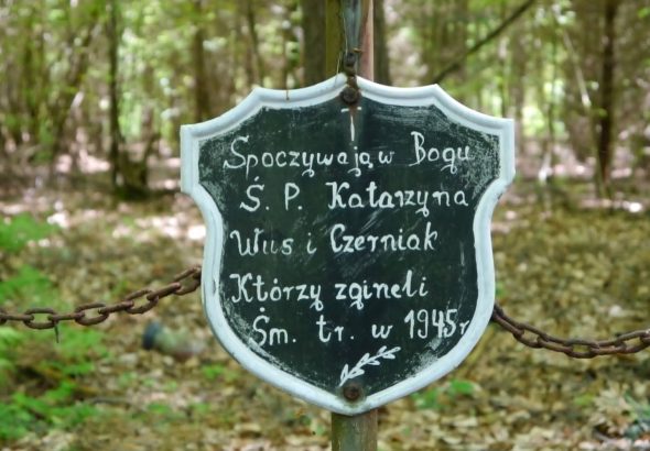 pobierz